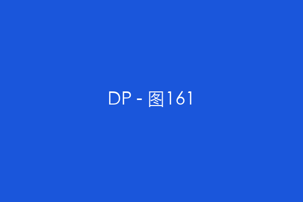 DP - 图161