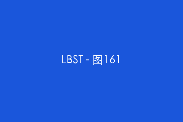 LBST - 图161