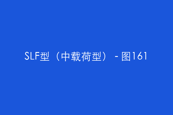 SLF型（中载荷型） - 图161