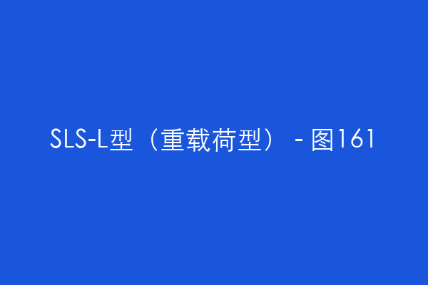 SLS-L型（重载荷型） - 图161