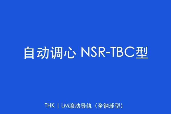 自动调心 NSR-TBC型