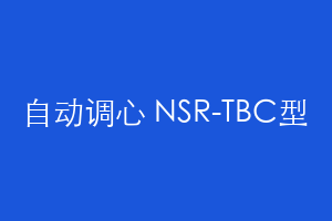 自动调心 NSR-TBC型