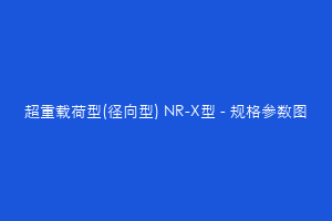 超重载荷型(径向型) NR-X型 - 规格参数图