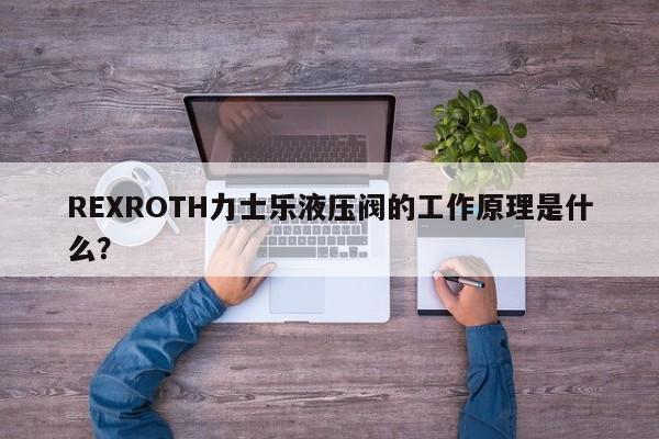 REXROTH力士乐液压阀的工作原理是什么？