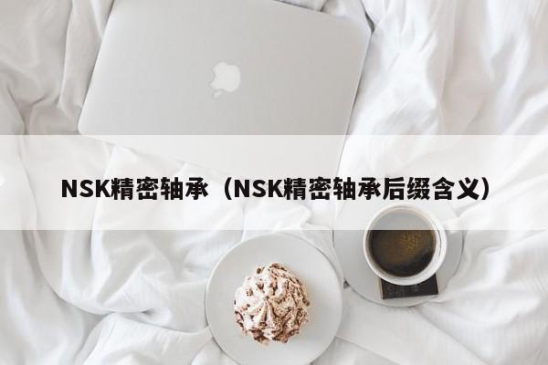 NSK精密轴承（NSK精密轴承后缀含义）