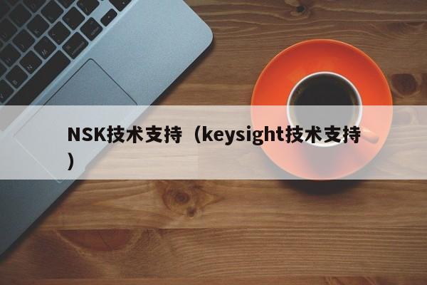 NSK技术支持（keysight技术支持）