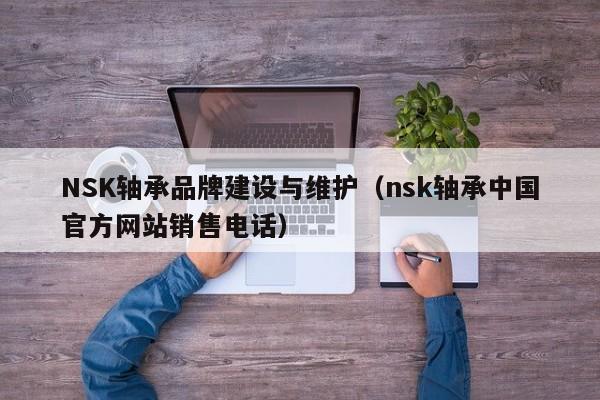 NSK轴承品牌建设与维护（nsk轴承中国官方网站销售电话）