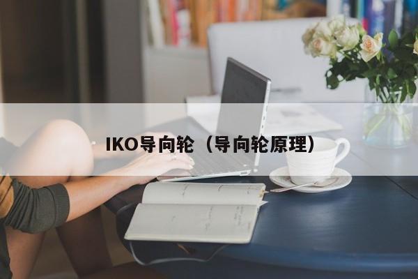 IKO导向轮（导向轮原理）