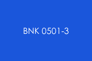 BNK 0501-3