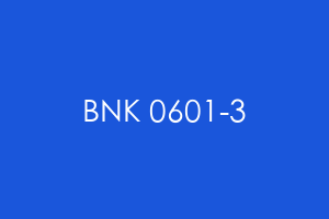 BNK 0601-3