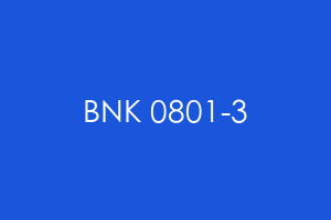 BNK 0801-3
