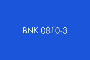 BNK 0810-3
