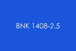 BNK 1408-2.5