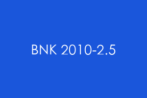 BNK 2010-2.5