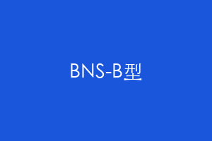 BNS-B型