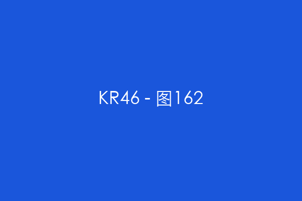KR46 - 图162