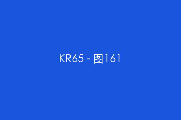 KR65 - 图161