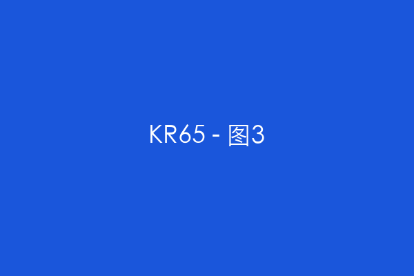 KR65 - 图3