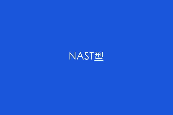 NAST型