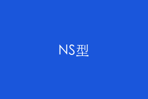 NS型