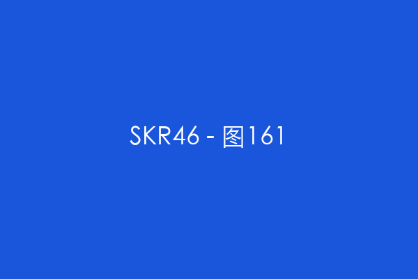 SKR46 - 图161