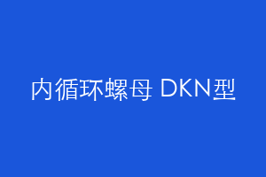 内循环螺母 DKN型