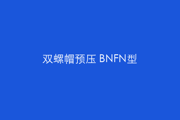 双螺帽预压 BNFN型