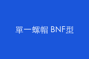 單一螺帽 BNF型