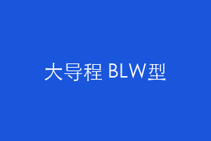 大导程 BLW型