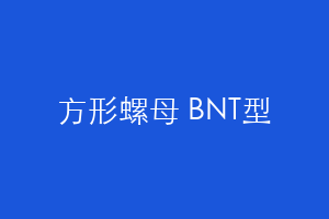 方形螺母 BNT型